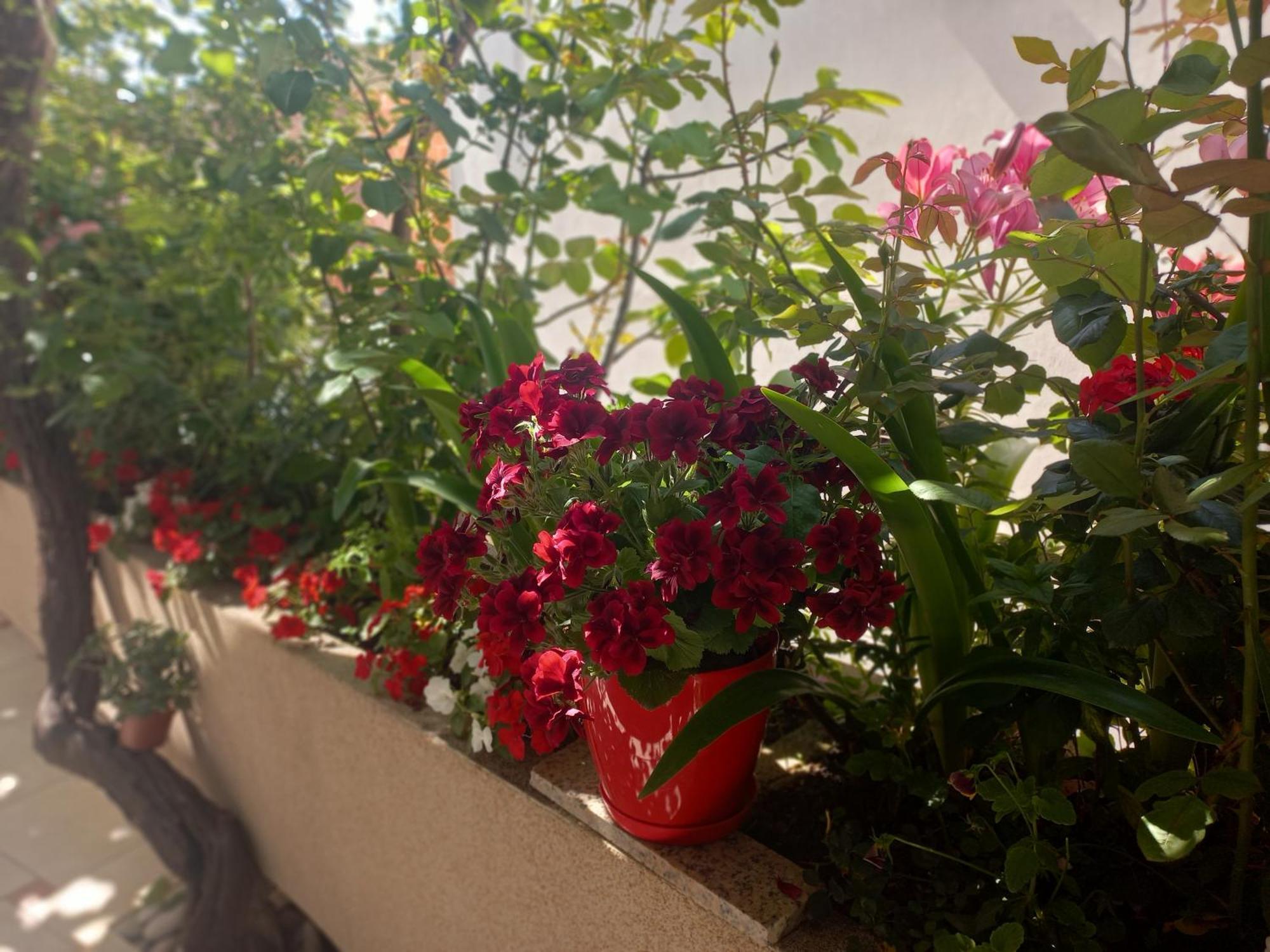 Apartments Gazi Ulcinj Exterior photo